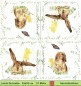 Preview: Hasen in der Wiese - 1 Paket mit 20 Servietten